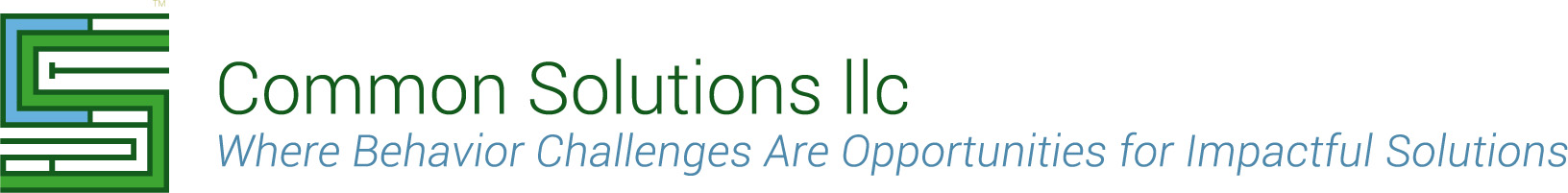 Common Solutions Logo